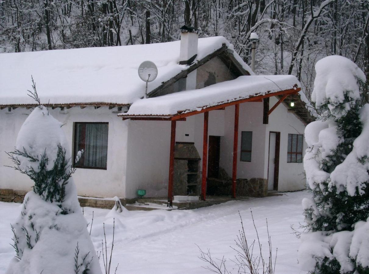 Holiday Home Tanevi 特里亚夫纳 外观 照片